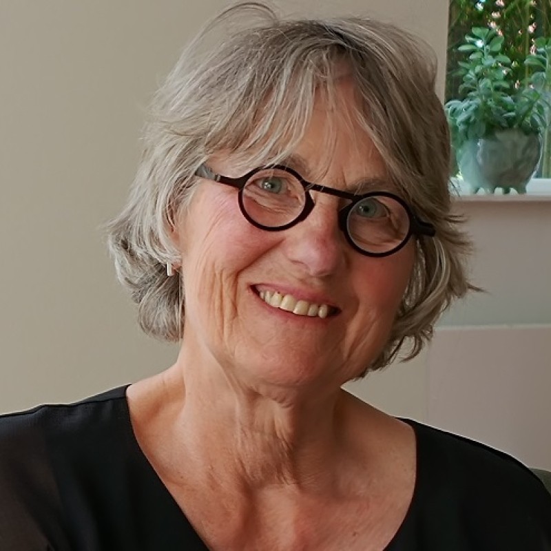 Anne-Marie Netten.jpg