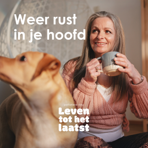 1x Link ad PZNL 1-1_2