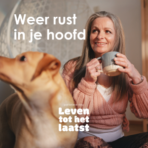 1x Link ad PZNL 1-1_2
