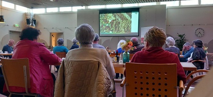 Overzicht deelnemers