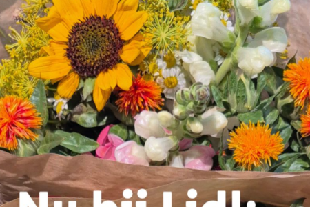 Bio bloemen Lidl