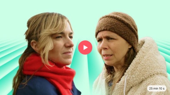 Conflict om lelieteelt